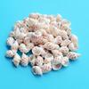 2-5cm natural seashell and conch, 3D seashell petal accessories, handmade embellishments, craft materials