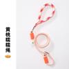 Reflective Dog Leash With Ergonomic Handle - Non-Expandable Nylon Lead Small Medium Large Dogs