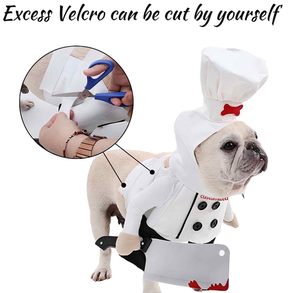 Personalized Custom Embroidered Text With Knife Transformation Costume Cat Funny Two-legged Clothes Dog Clothes Funny Halloween Costume