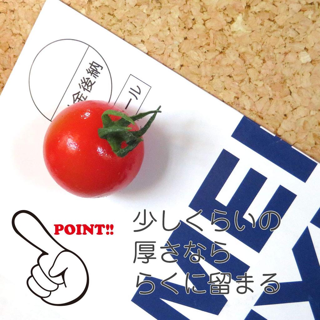 Food replica edible cherry tomato 239OM magnet (red)