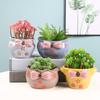 Cute Bow Flower Pot Succulent Pot Ceramic Planter Home Decor Desktop Ornaments Bonsai Plant Pot Garden Decoration