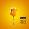 Artisanal Craft Beer Glass Set