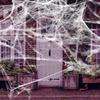 DIY Props Halloween Artificial Spider Web Gothic Style Scary Spider Web Decor Kit  Party Supplies