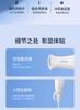 Feike FLYCO Hair Dryer