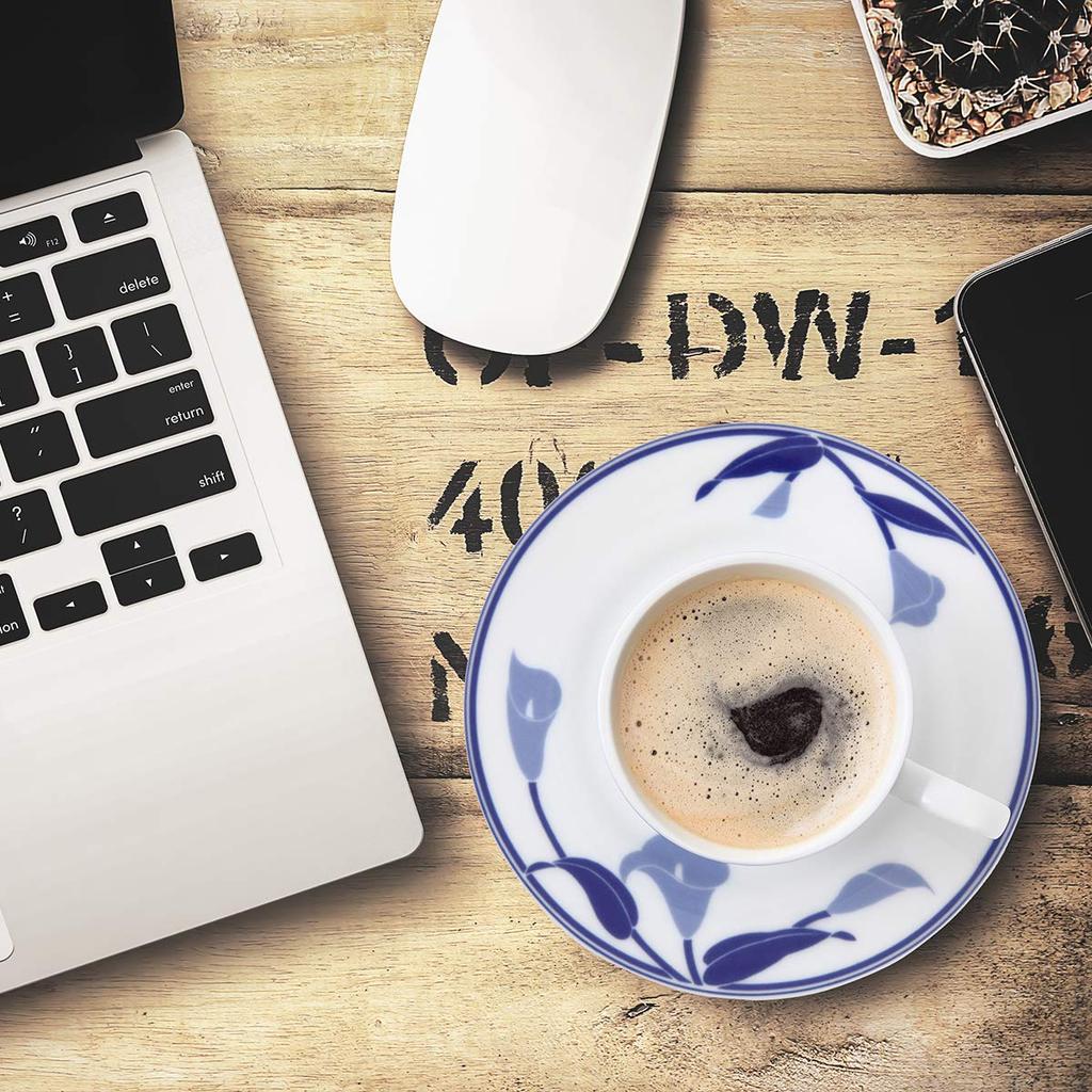 CANION WITS Blue Lily Чайная чашка Блюдце Дизайн столовой посуды в стиле вестерн (Подарок/Домашнее использование/Кафе/Ресторан и т. д.) [Канион Витс]