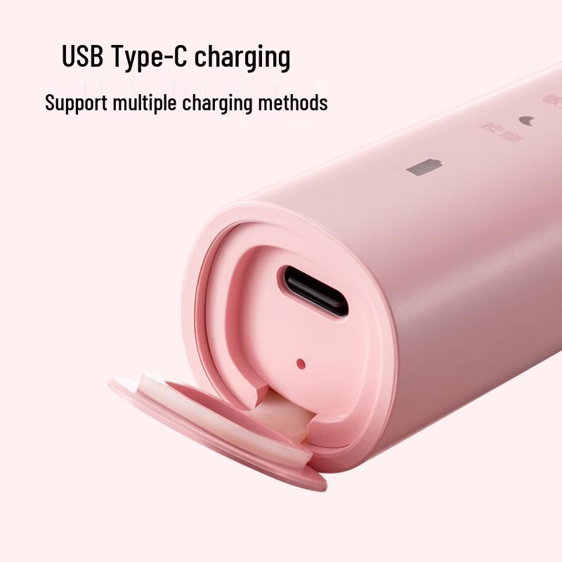 FLYCO Bora PT1701 Smart Sonic Electric Toothbrush CN plug (adapter included)