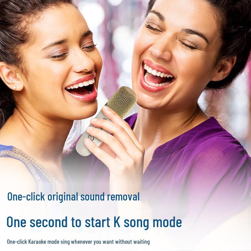 Newmine MC-600 Portable Bluetooth Karaoke Speaker