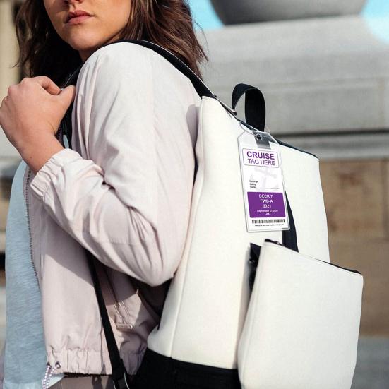 10 шт. круизная багажная бирка с петлей, широкий держатель багажной бирки Cruise Essentials, бирка с уплотнением на молнии, многоразовый водонепроницаемый держатель для круизных документов, карнавал