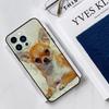 Чехол для iPhone 15 16 Pro Max 14 12 11 13 Pro Max Plus XR X XS Max 12 13 Mini с собакой Чихуахуа
