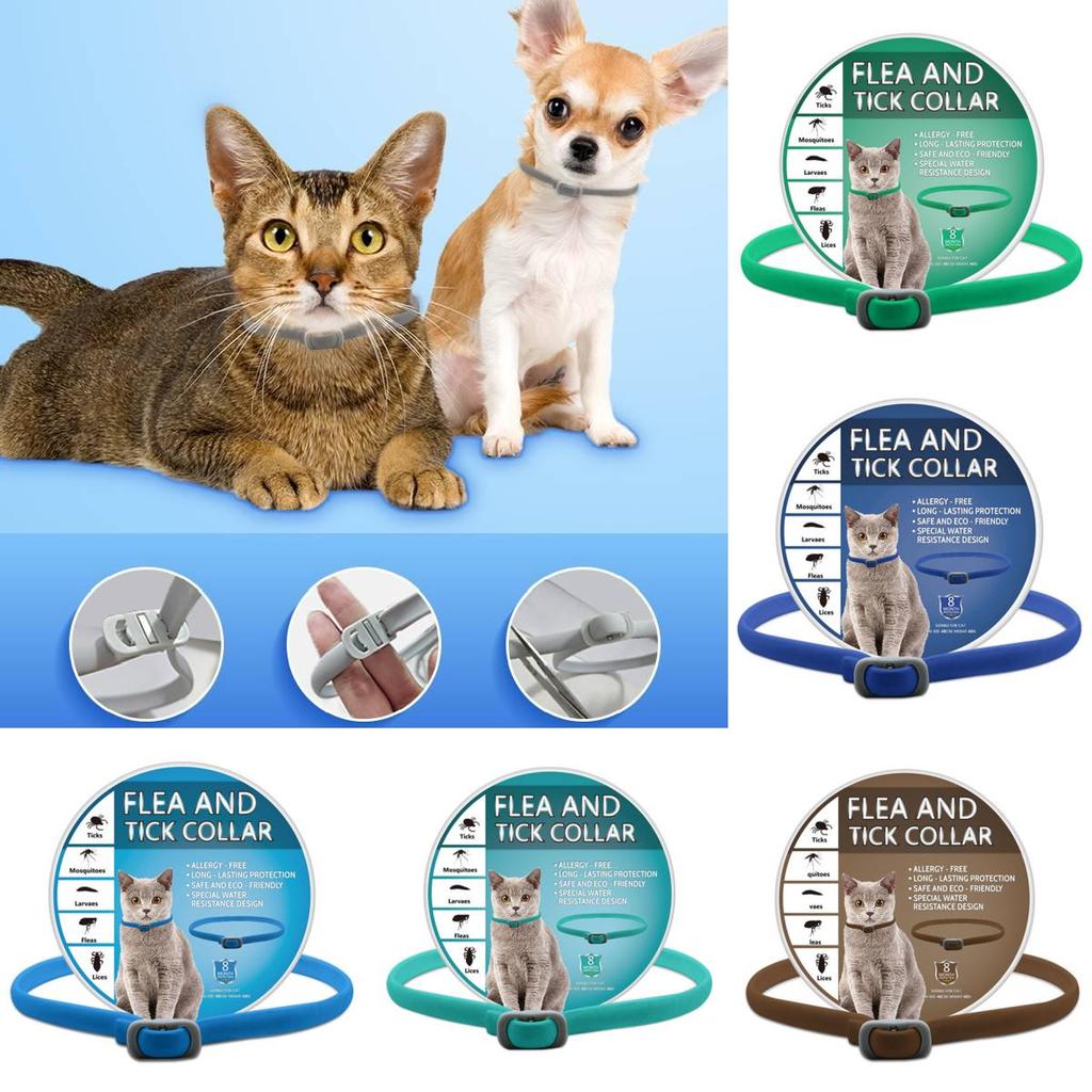 Tick Flea Pet Collar For Dogs And Cats Adjustable Size Eco Friendly Material Pvc