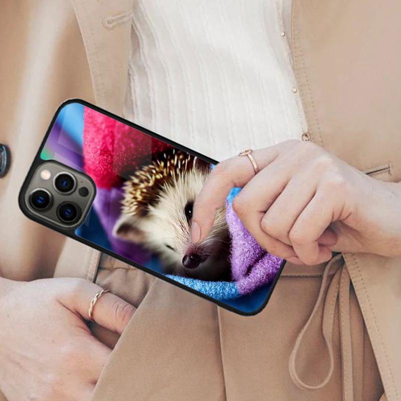 Милый маленький ёжик цветной Магнитный чехол для телефона ДЛЯ APPLE iPhone 17 Air 16 14 13 12 Pro Max 15 Plus Беспроводная крышка MagSafe