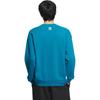 adidas Originals Feifei Ruan Collaboration FW23 Пуловер с узором дракона, толстовка унисекс, топы зеленого цвета IX4237