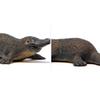 Фигурка утконоса Schleich SL14840, 2 шт., популярные игрушки в Корее