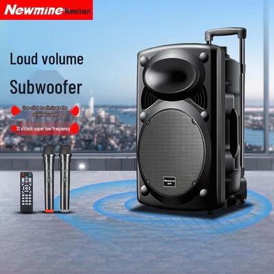 Портативная Bluetooth-колонка Newsmy B12, 12 дюймов, штепсель CN (адаптер в комплекте)