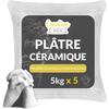 Creative Deco 25 Kg Platre Pour Moulage | Plâtre Ceramique | Poudre De Ceramique Pour Moulage | Alginate Moulage | Idee Cadeau
