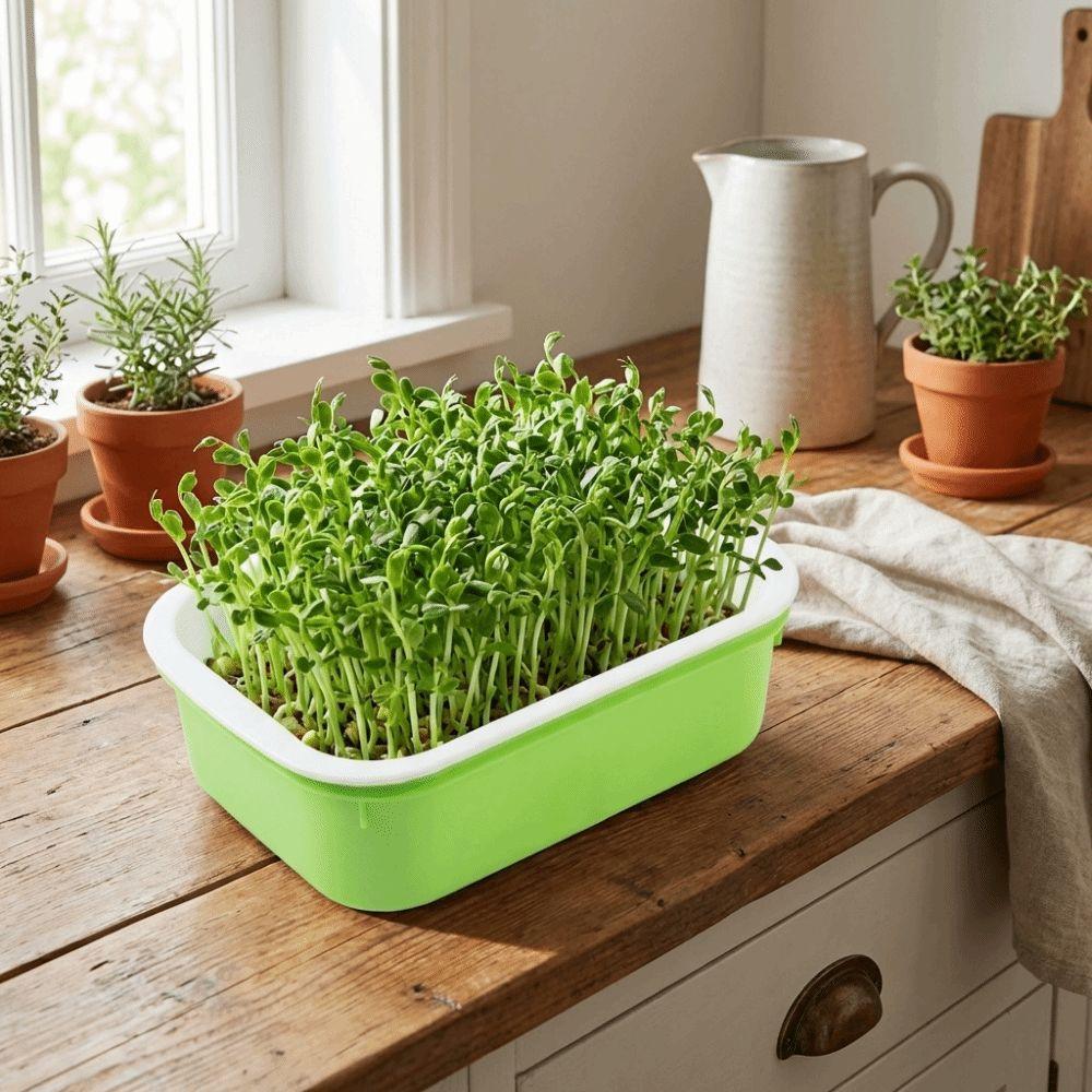 2Pcs Plastic Germination Tray High Ventilation Hydroponic Planting Tray  Greenhouse Supplies