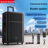Портативная Bluetooth-колонка для караоке Newmine N528, 15 дюймов, штекер CN (адаптер в комплекте)