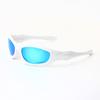 Outdoor sports cycling polarized sunglasses, retro and trendy, suitable for men and women, ideal for hiking and travel dog