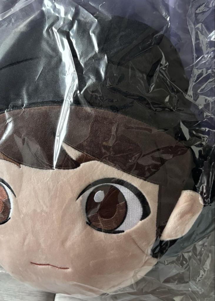 [USED] Jungkook Tinytan Cushion Blanket