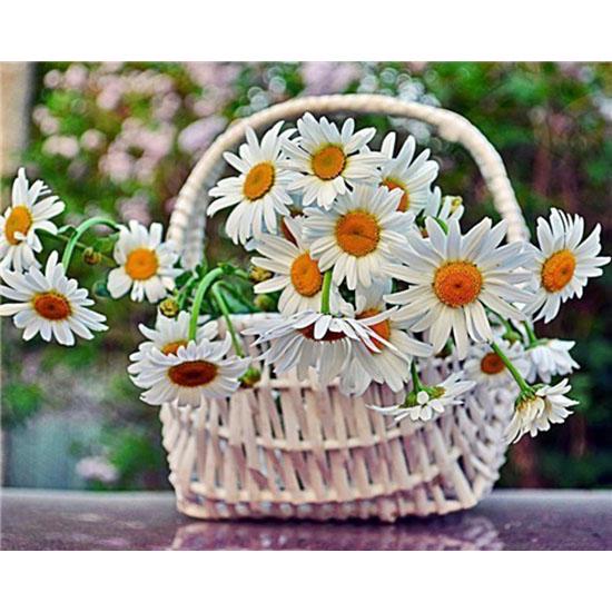 HUACAN цветочный узор Алмазная картина вышивка крестиком 5D Алмазная мозаика фото вышивка ручная работа