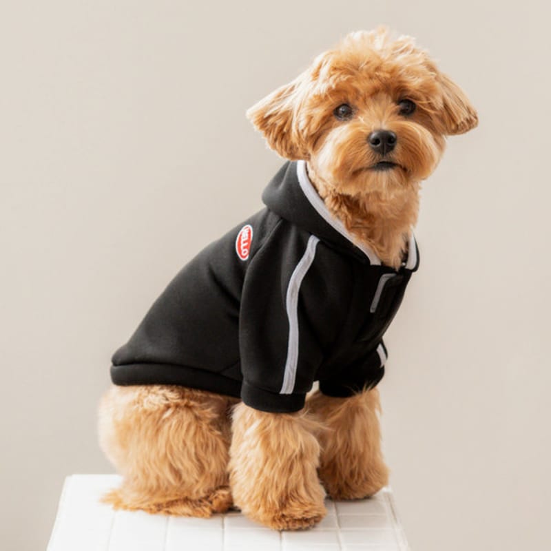 [Питомец] Тренировочный костюм с капюшоном M Черный