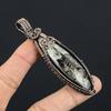 Orthoceras Fossil Jewelry, 999 Copper Wire Wrapped Pendant Handmade Gemstone Jewelry, Gifts For Wedding Pendant