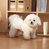 Lace Detail Pet Dresses Princess Style Dog Clothing Fashion Pet Vest  for Cats