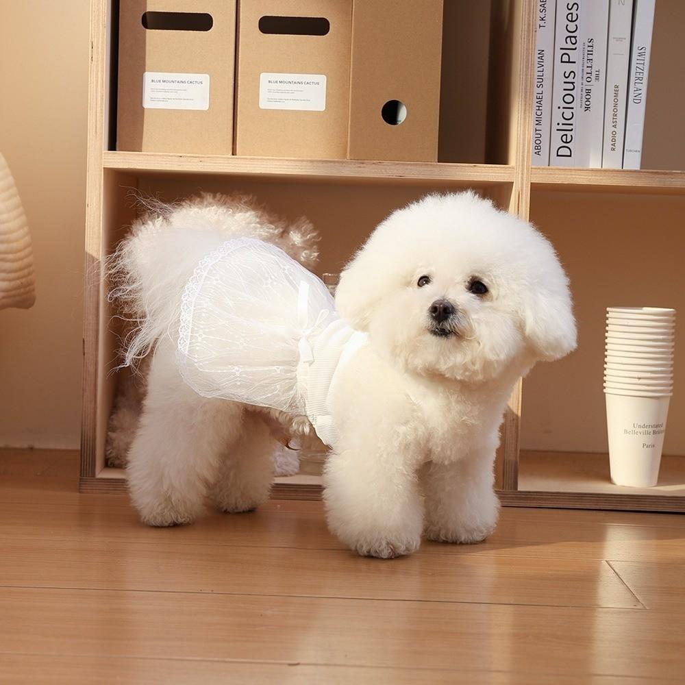 Lace Detail Pet Dresses Princess Style Dog Clothing Fashion Pet Vest for Cats