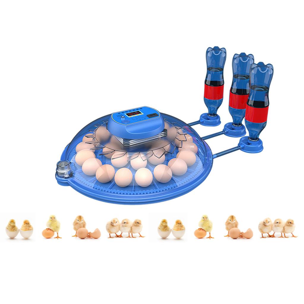 Инкубаторы для инкубации яиц Fahrenheit с автоматическим поворотным устройством Инкубаторы для цыплят Ферма Птица