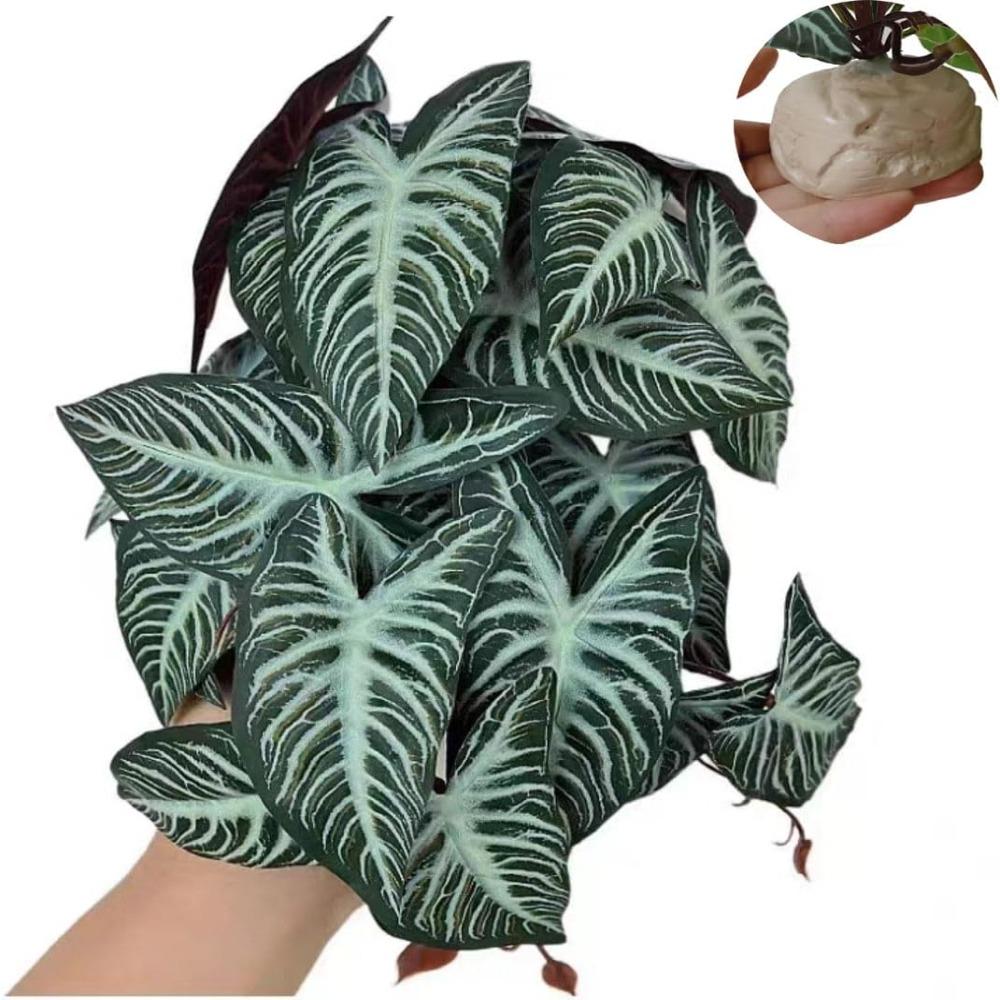 Green Artificial Water Plants 25CM Tall Habitat Decor Artificial Fish Tank Plants  Fish Tank