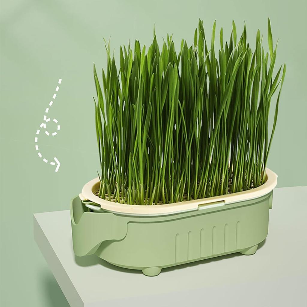 Hydroponic Cat Grass Planter Pot, Cats Grass Growing Pots, Indoor Gardening Soil-Less Growing Pot with Aeration Design Watering