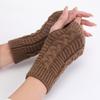 Women's Knitted Long Hand Gloves Warm Embroidered Mittens Winter Fingerless Glove for Women Girl