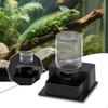 Automatic Reptile Drinker with Bottle Creative Pet Supplies Water Dispenser Container Tool for