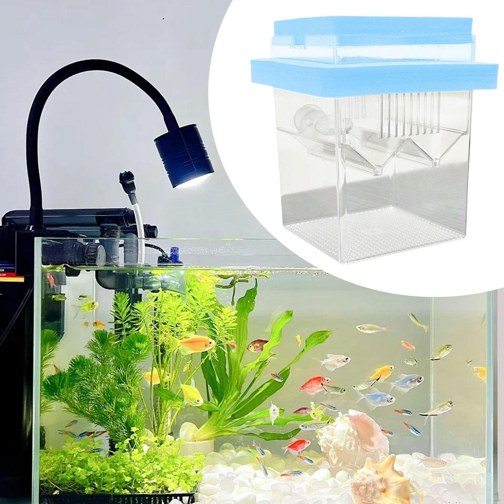 Аквариумный ящик для разведения, плавающий аквариум, инкубатор для маленьких мальков