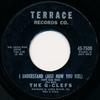 7-дюймовая пластинка GCLEFS I Understand Just How You Feel A 457500 Terrace Records 1961 США Рок Б/у