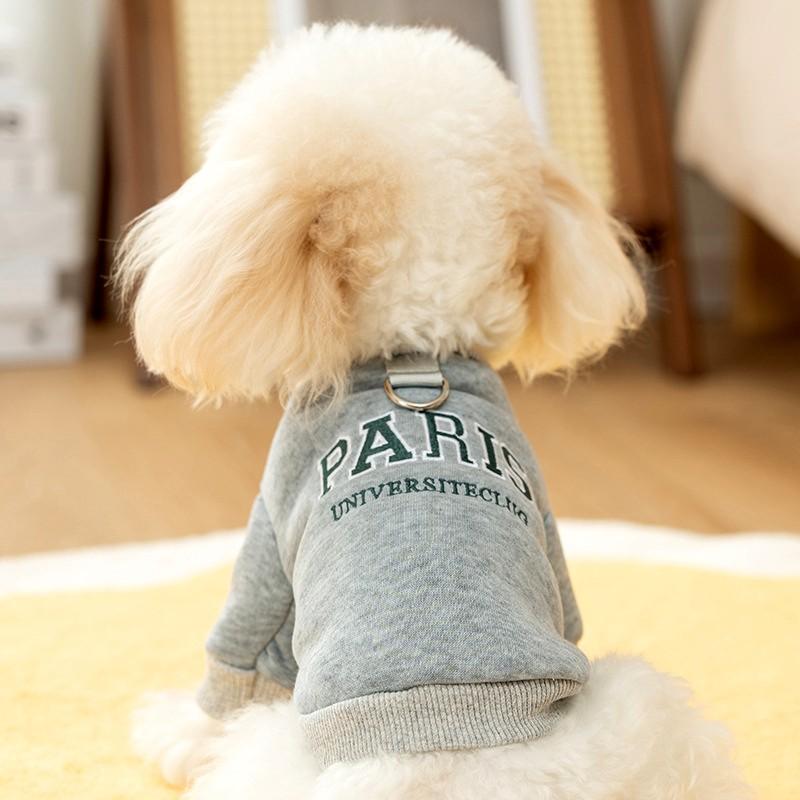 Зимняя одежда для собак Толстовки с капюшоном для собак Pet Letter Пуловер для щенков Теплое пальто для собак Одежда для кошек Чихуахуа Французский бульдог 2024 Толстовка для собак