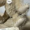 [USED] Steiff Teddy Bear Classic 00510