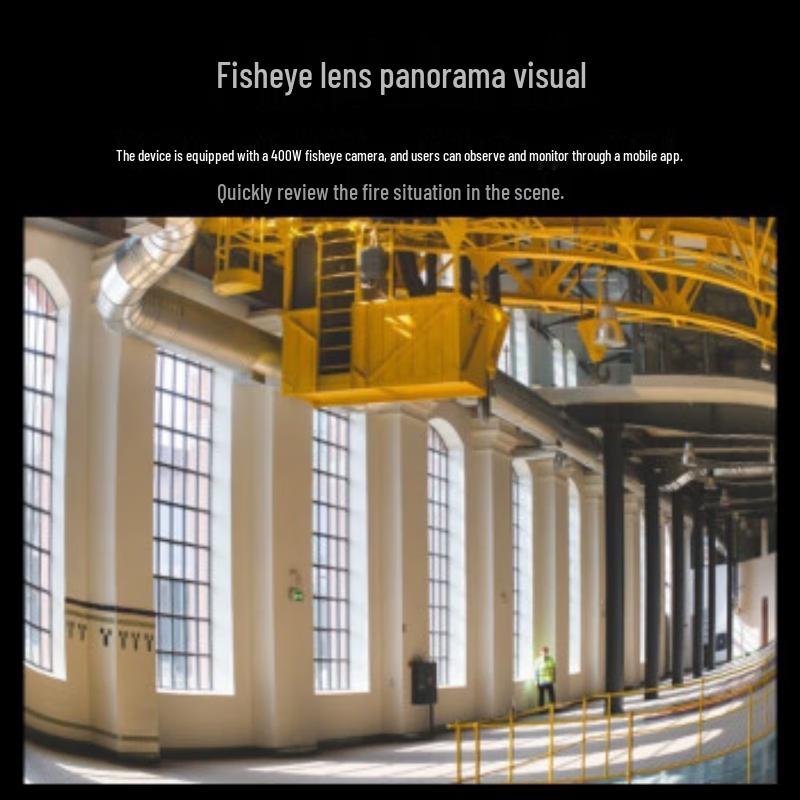 Hikvision 4-мегапиксельная панорамная камера «рыбий глаз» 360° с обнаружением дыма, штекер CN (адаптер в комплекте)