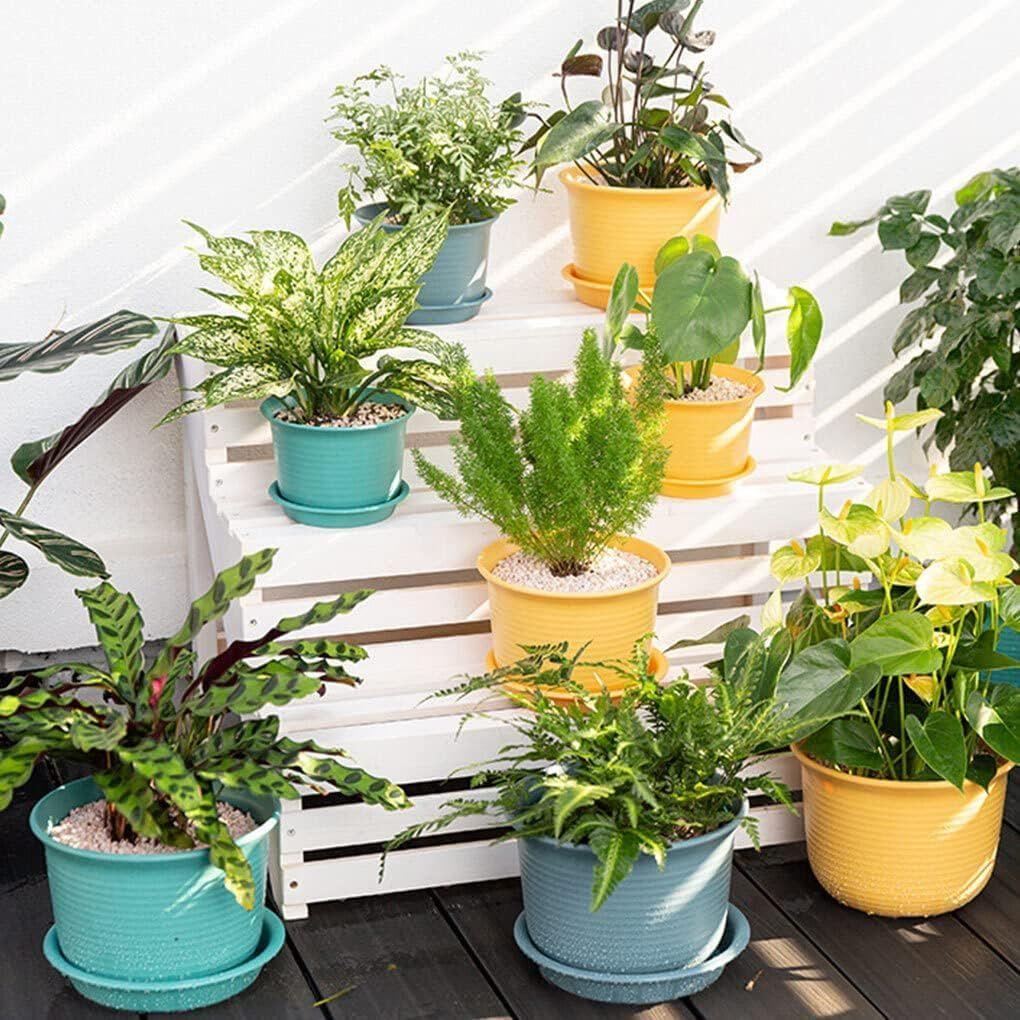 Пластиковые круглые цветочные горшки с поддоном для домашних растений, террасы, сада и т. д. | Упаковка из 05 штук | Разноцветные | Размер 8 дюймов | для дома, для использования в помещении и на улице