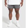 Lifting Mesh 5  Shorts Pitch Grey A1b1j Gb7q