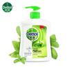 Dettol Plant Care Antibacterial Hand Soap