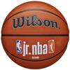 Wilson Аутентичный уличный мяч NBA Fam Logo Jr, оранжевый баскетбольный мяч унисекс