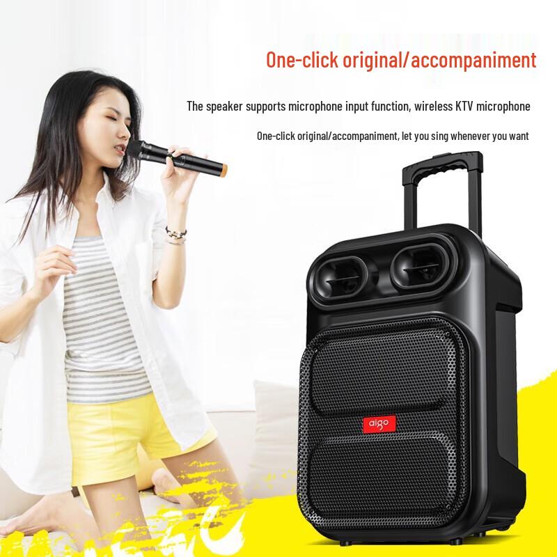 Портативная Bluetooth-колонка Aigo S56 12 дюймов на колесиках с микрофоном, штепсель CN (адаптер в комплекте)