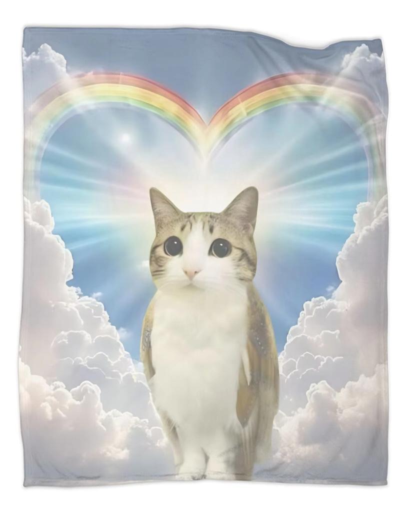 Популярный в интернете плед-покрывало с изображением совы и кота, ставшего мемом, для путешествий, для домашнего декора, теплое покрывало на заказ, подарок на день рождения.