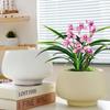 Ceramic Flower Pot with Tray for Orchids and Succulents