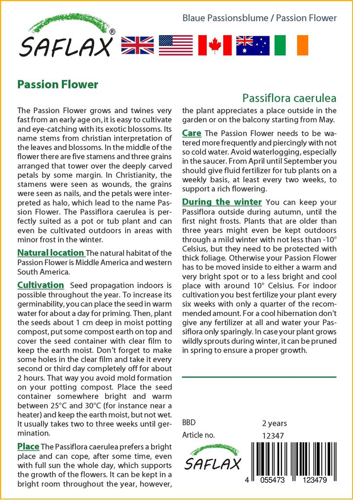 SAFLAX Цветок страсти - 25 семян - С горшечным субстратом для лучшего выращивания - Passiflora caerulea