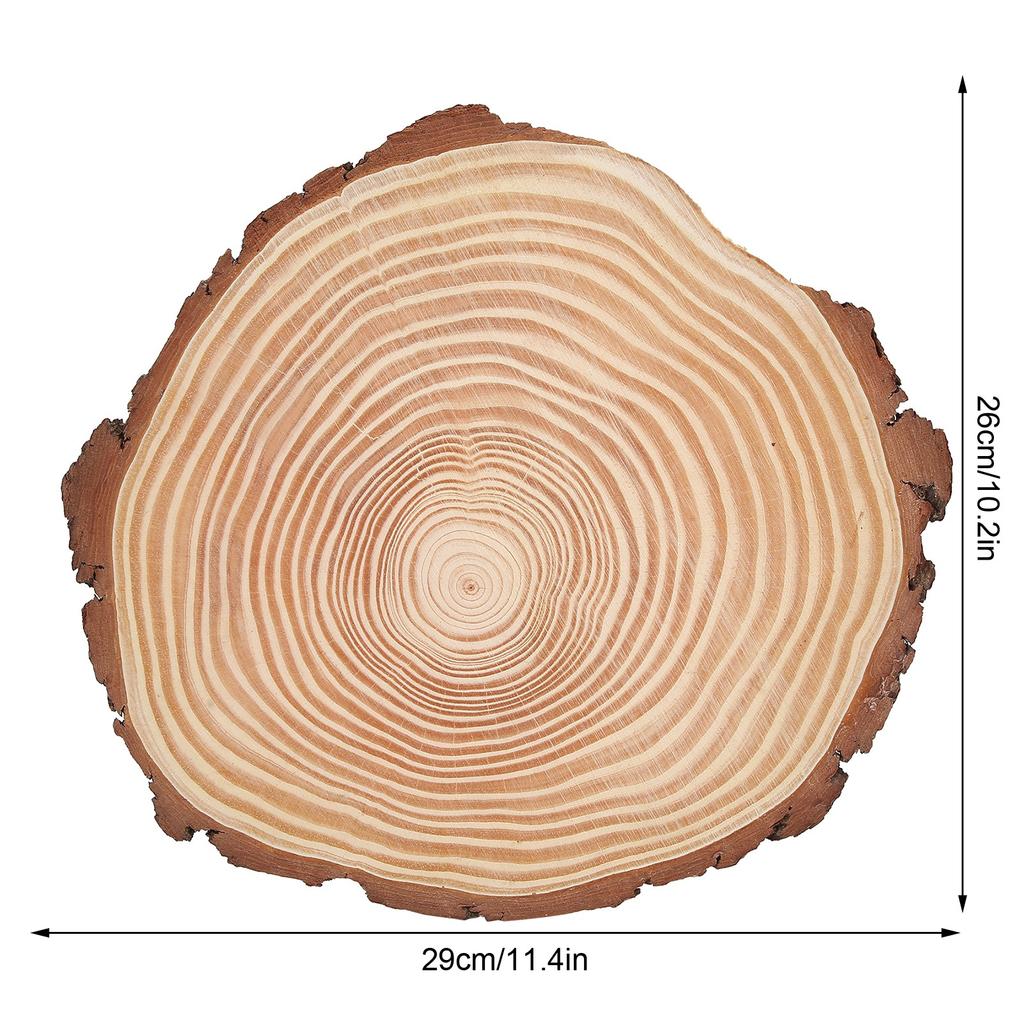 Натуральное дерево Необработанные деревянные круги Украшения Неправильное дерево с корой