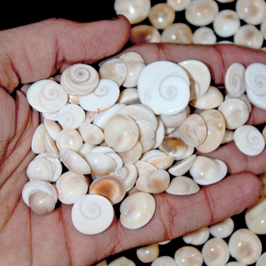 Кристаллический минерал | Ювелирные изделия с драгоценными камнями | Шива глаз | Драгоценный камень глаза Шивы | Кабошон глаза Шивы | украшения для глаз Шивы | Кольцо в виде глаза Шивы | Оптовые продажи