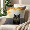 Cute Cat Funny cushion cover For Pillow Printing Sofa Decoration Home Car Room Coffee Shop Office Nordic Simplicity