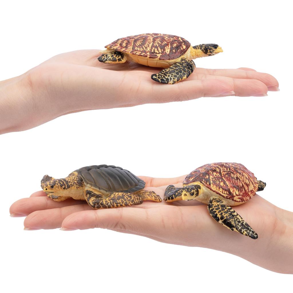 Набор из 6 фигурок черепах TOYMANY, набор морских животных, реалистичные модели животных для любителей черепах, популярные игрушки с животными, подарки на день рождения, Рождество, новинка